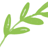 Naples Olive Oil Company