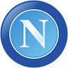 Napoli Painting Co
