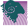Kraloo