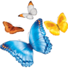 Nationwide Children's Hospital - Toledo Tiffin Primary Care Center
