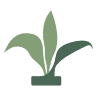 Natura Hawaii