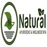 Natural Ayurvedic and Wellness Spa