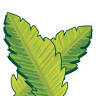 Natural Beginnings Early Learning World Child Care