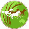 Natural Horse World Store - Shop online anytime or by appointment.