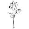 Natural Paws Holistic Pet Care