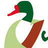 NatuRa - Museo ravennate di Scienze Naturali 