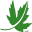 Nature Conservancy of Canada's Goldie Feldman Nature Reserve