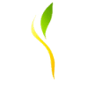 Naturheilpraxis Anthoula Panagiotidou