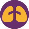 Respiratory Care Practitioner