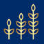 Ncrease Financial Services, LLC
