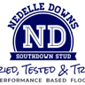 Nedelle Downs