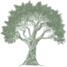 New England Olive Oil Co