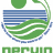 Nervig Travel Services