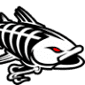 Netto Baits