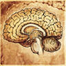 Dr. Gabriel - Facharzt für Neurologie & Psychatrie