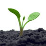 New Beginnings Family Fellowship