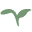 New Earth Living