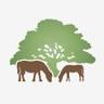 New Forest National Park