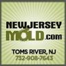 NewJerseyMold.com