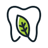 New Leaf Pediatric Dentistry