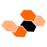Newsoft IT srl