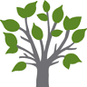 North Georgia Community Foundation