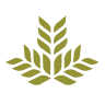 Northeast Georgia Medical Center Wound Healing Center