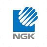 NGK Electronics USA Inc