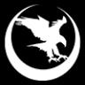 Nighthawk Custom