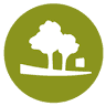 A.E. Cracknell Reserve