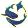 Ningaloo Discovery Whale Shark Tours