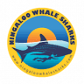 Ningaloo Whaleshark Swim