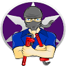 Ninja Plumber