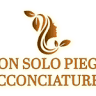 Non Solo Piega