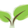 De Noordhoek vaste planten BV