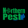 Northern Pest