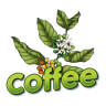 North Fields Coffee Tour