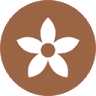 Nós Flores Ateliê