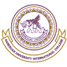 Naresuan University International College