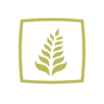 Northwest Natural Dentistry