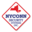 Nyconn Security Systems Inc