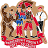 Narrenzunft Bingen e.V.