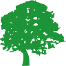 Oakfield Junior School