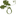 Oakridge Wines