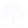 Oak Transcription