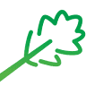 Oaktree Accountants
