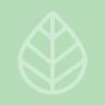 Oak Tree Pediatric Dentistry