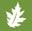 OakTree Supply