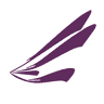 Occhi Lash & Brow Studio