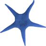 Accounting | Auditing | Oceanic Accounting & Services Co.,Ltd.